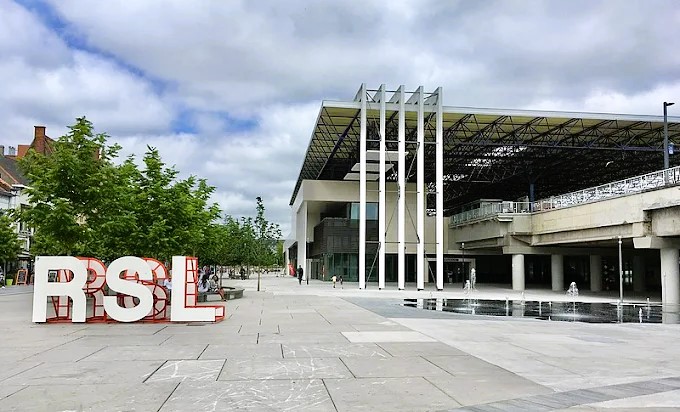 Chauffeurs professionnels